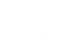 Dzines Logo